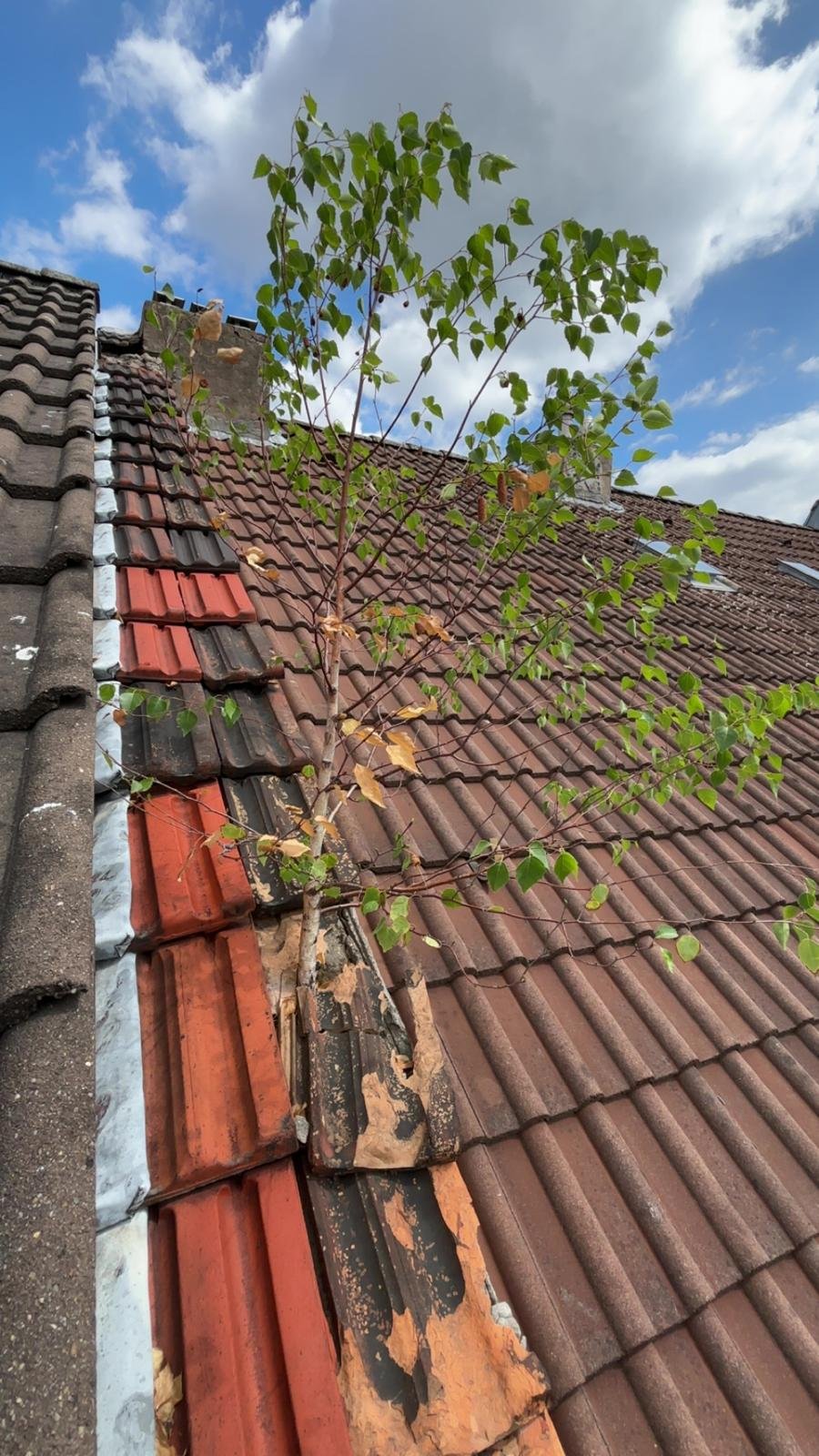 WhatsApp Bild 2025-08-31 um 12.35.09_207b69f0